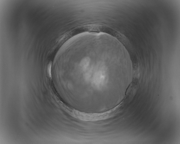 X0000080660047200701050954