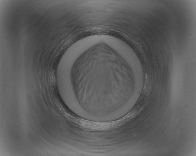 X0000080660048200701050954