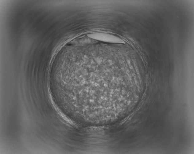 X0000080660049200701050953