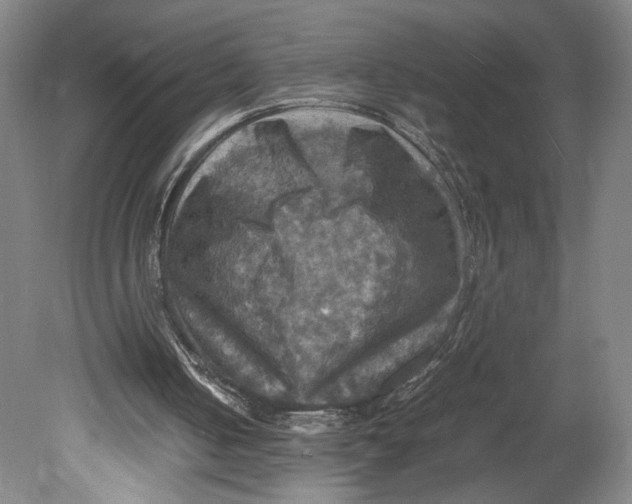 X0000080660050200701050953