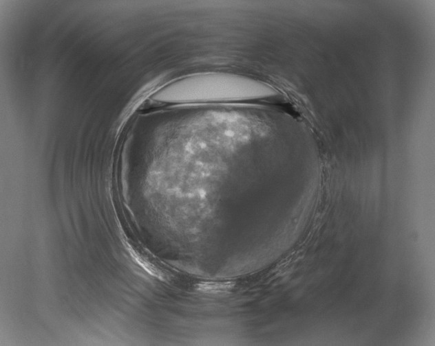 X0000080660051200701050953