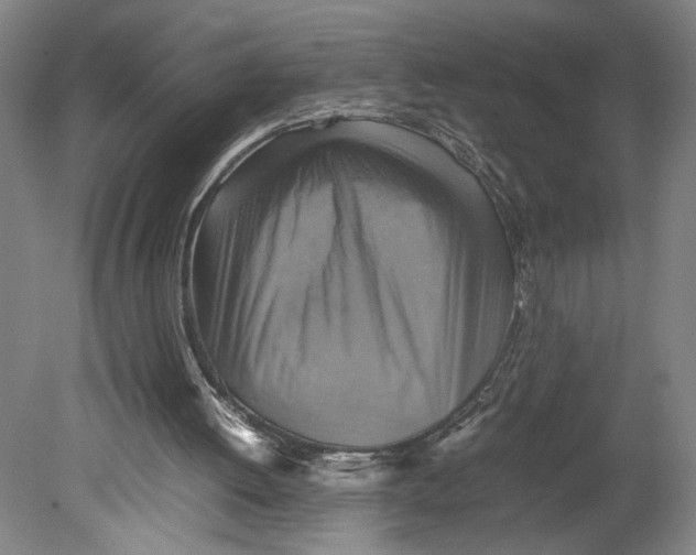 X0000080660052200701050953