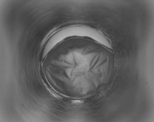 X0000080660053200701050953