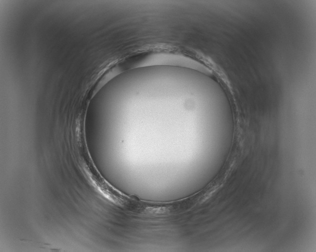 X0000080660057200701050953