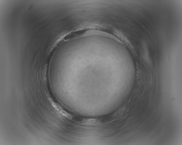 X0000080660058200701050953