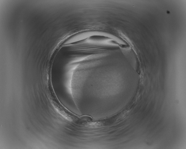 X0000080660059200701050953