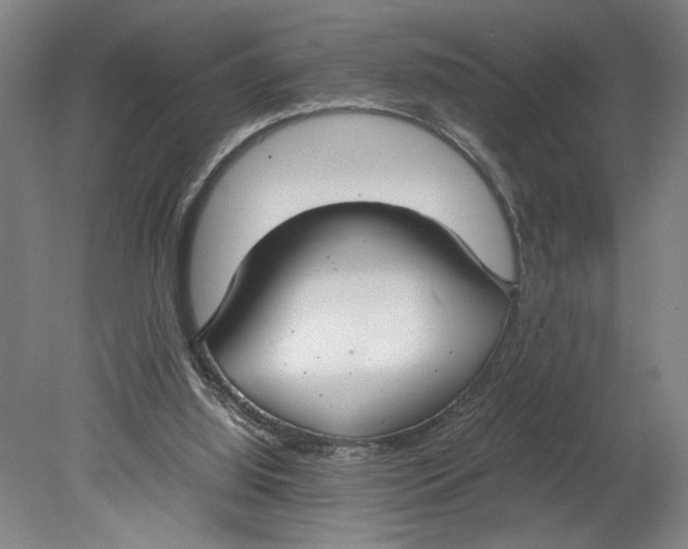 X0000080660060200701050953