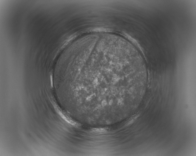 X0000080660061200701050953