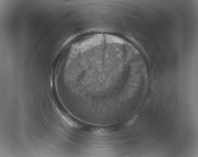 X0000080660062200701050953