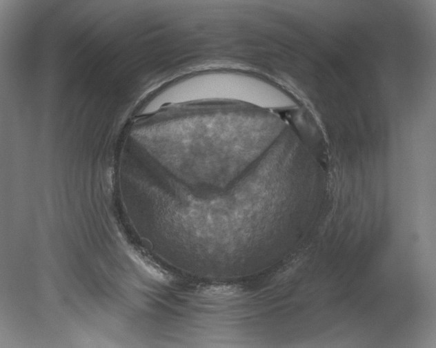 X0000080660063200701050953