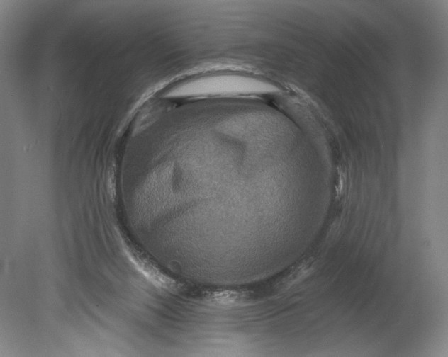 X0000080660064200701050953