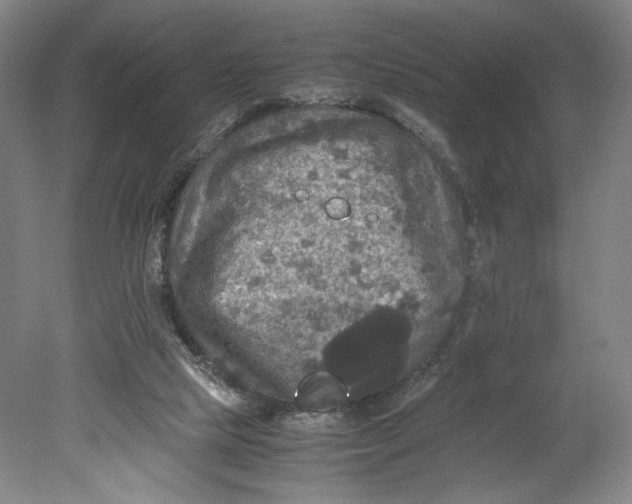 X0000080660065200701050953