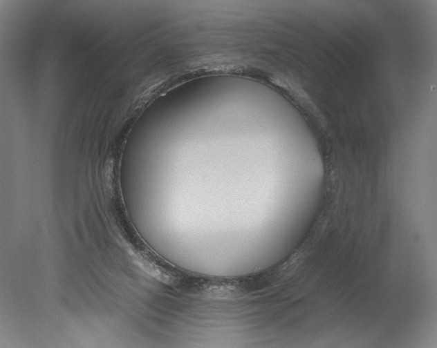 X0000080660066200701050953