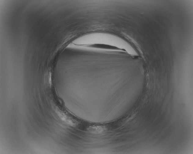 X0000080660067200701050953