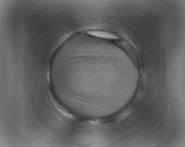 X0000080660068200701050953