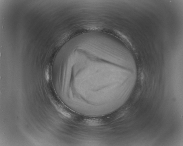 X0000080660069200701050953