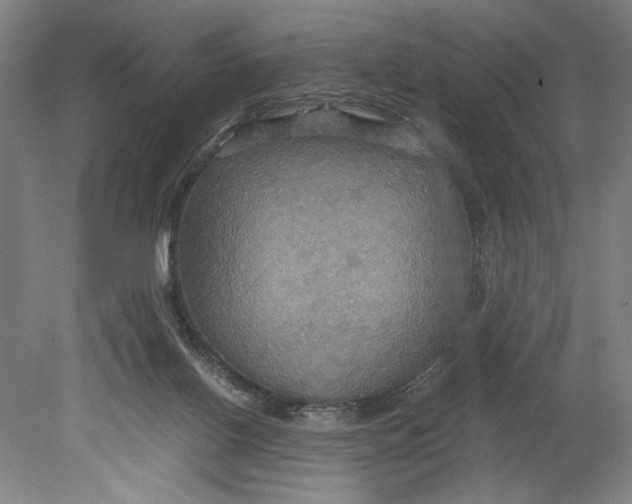 X0000080660070200701050953