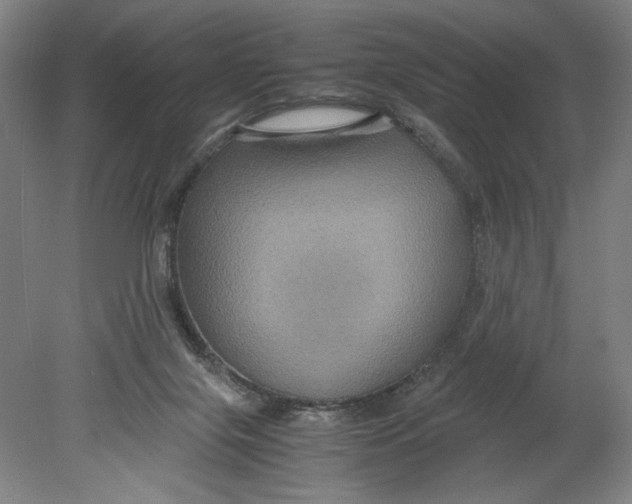 X0000080660071200701050953