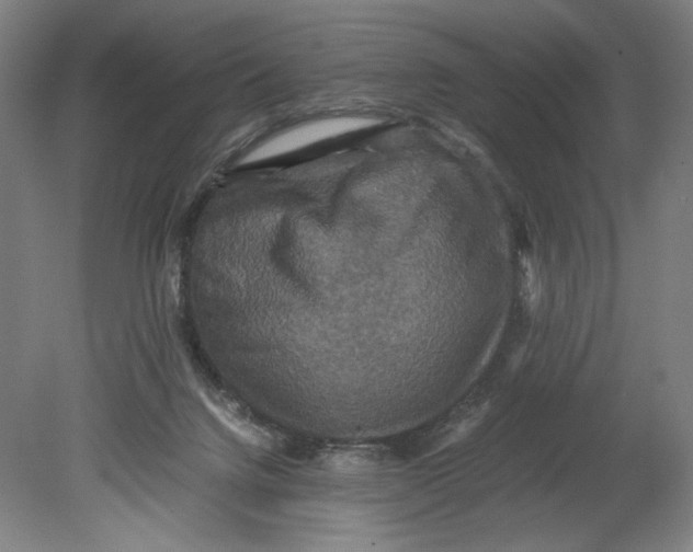 X0000080660072200701050953