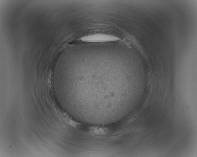 X0000080660073200701050953