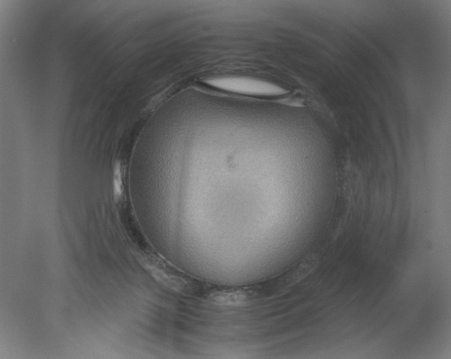 X0000080660075200701050953