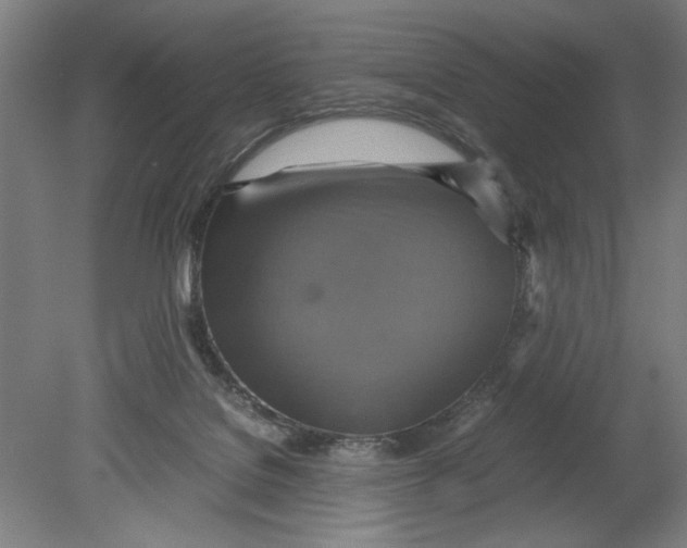 X0000080660076200701050953