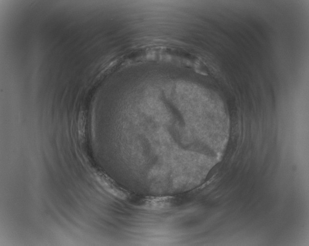 X0000080660078200701050953