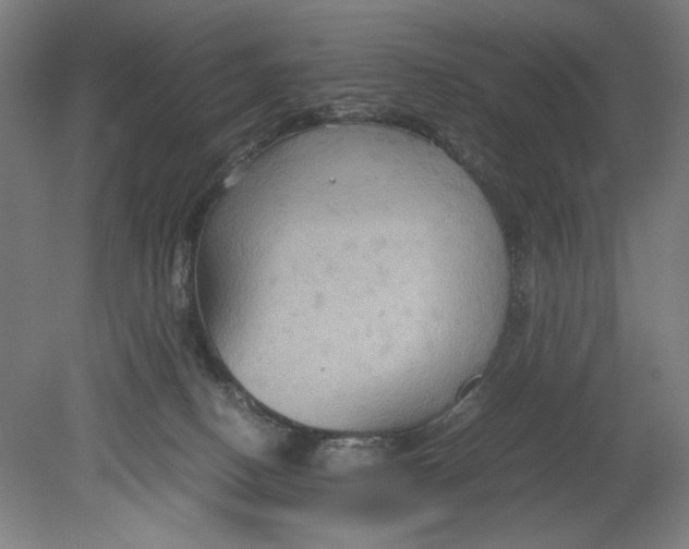 X0000080660082200701050953