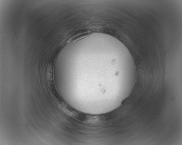 X0000080660083200701050953