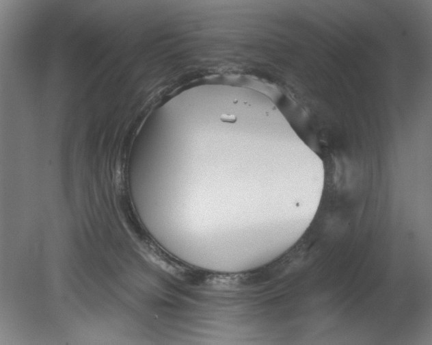 X0000080660084200701050954