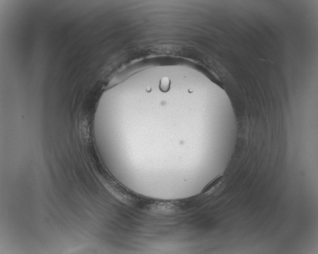 X0000080660086200701050954