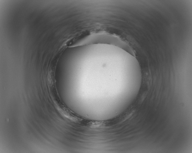 X0000080660088200701050954