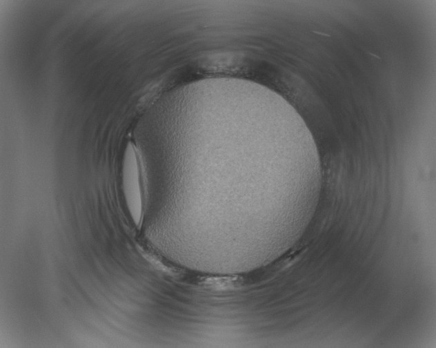 X0000080660089200701050954