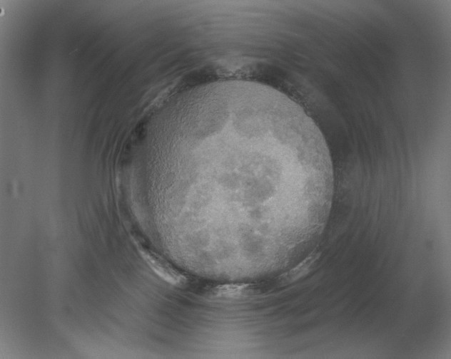 X0000080660090200701050954