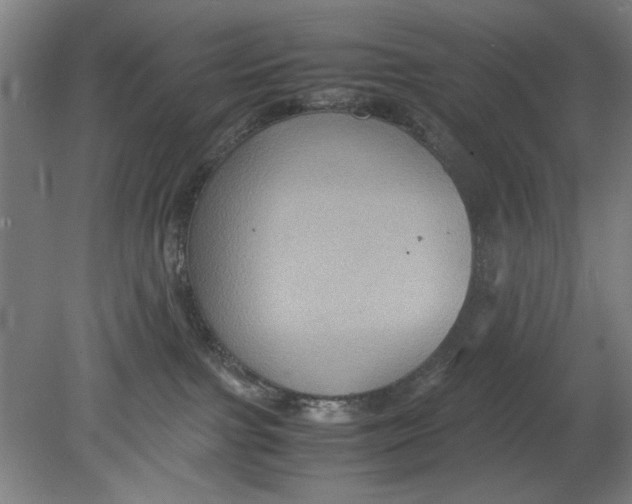 X0000080660091200701050954