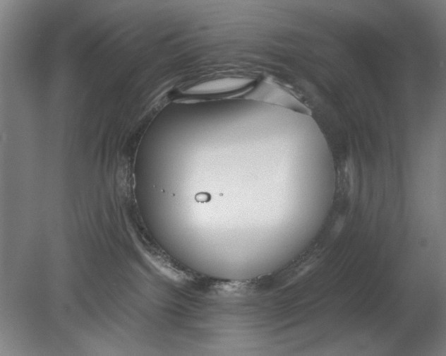 X0000080660092200701050954