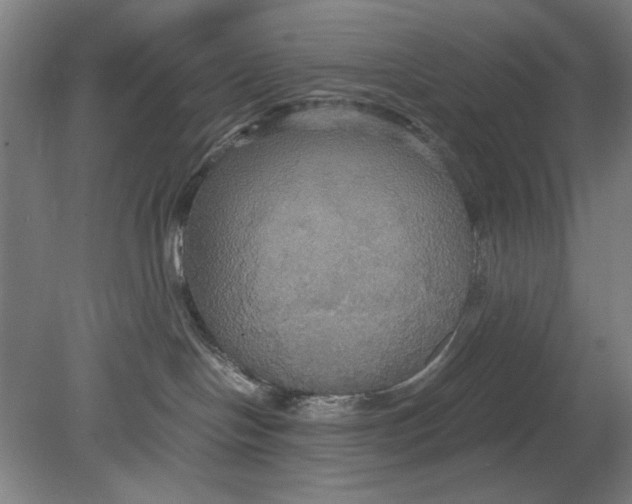 X0000080660094200701050954