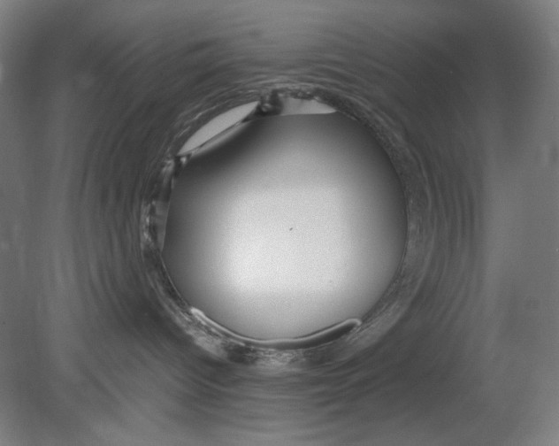 X0000080660096200701050954