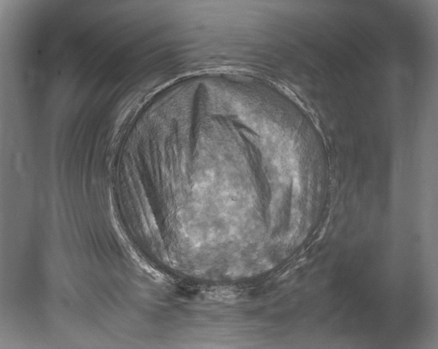 X0000080660097200701050953