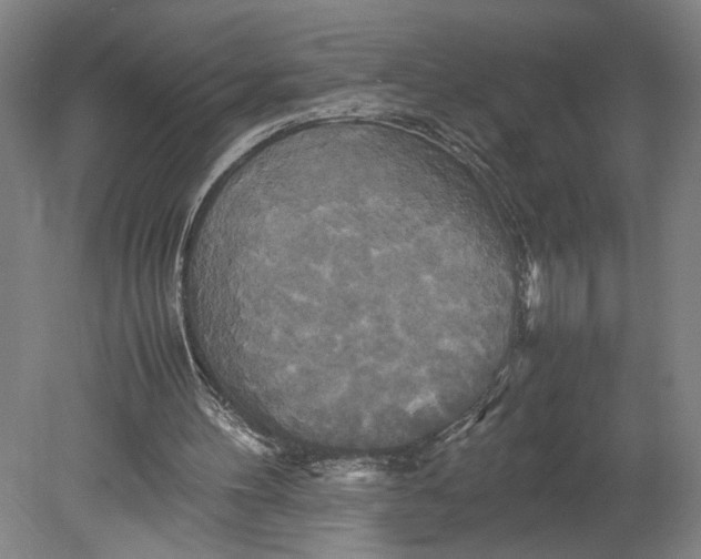 X0000080660100200701050953