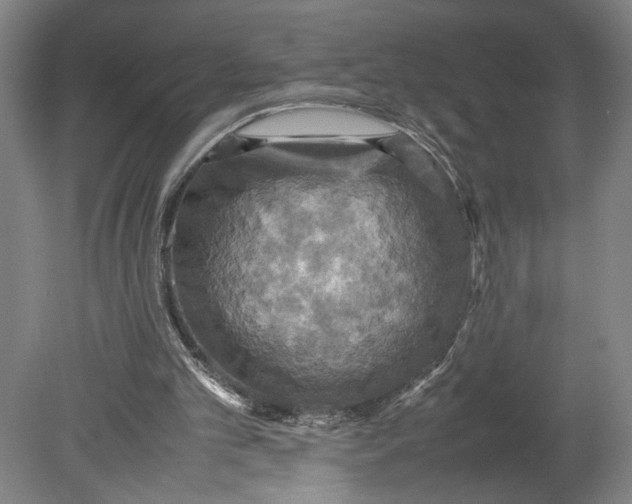 X0000080660101200701050953