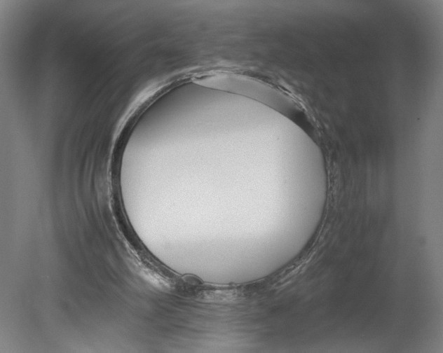 X0000080660102200701050953