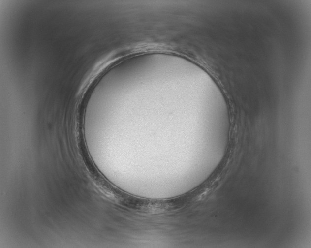 X0000080660103200701050953