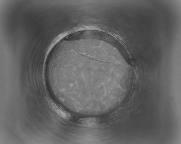 X0000080660104200701050953