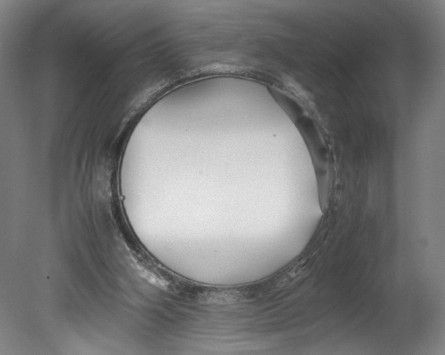 X0000080660106200701050953