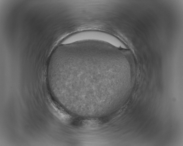 X0000080660107200701050953