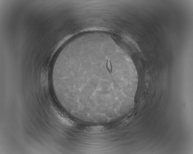 X0000080660108200701050953