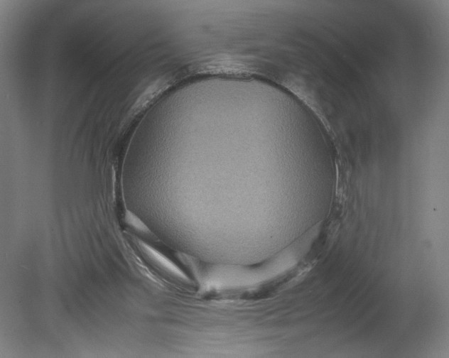 X0000080660109200701050953