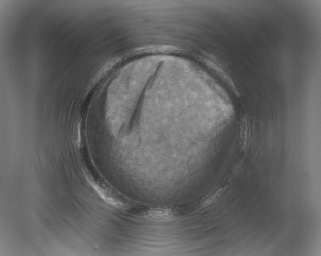 X0000080660110200701050953