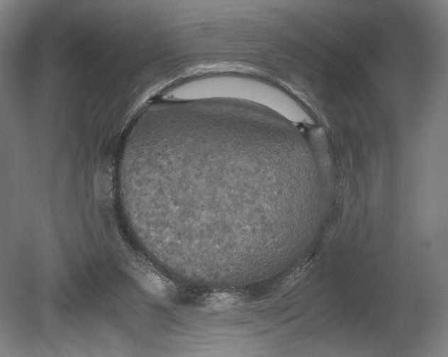 X0000080660111200701050953